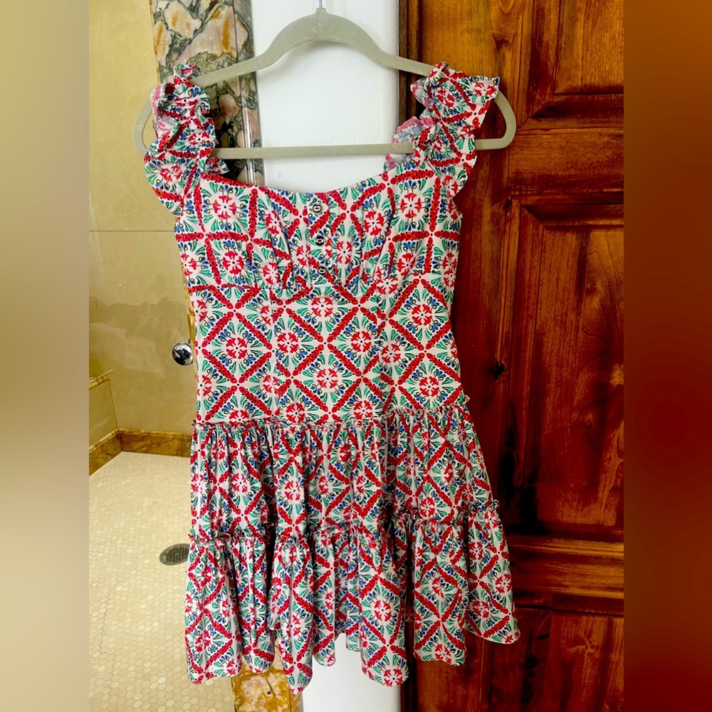 Caroline Constas mini dress!